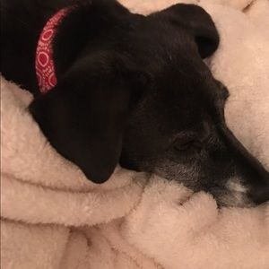 Meet your Posher, Autumn